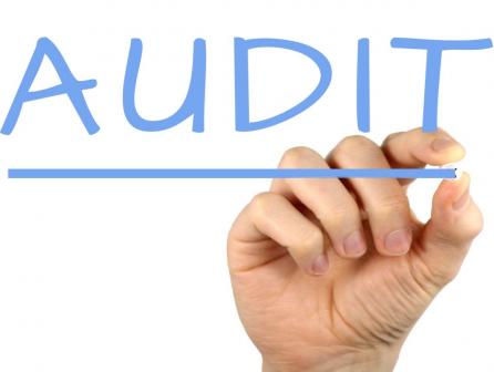 29 Audit