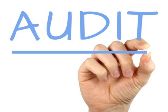29 Audit